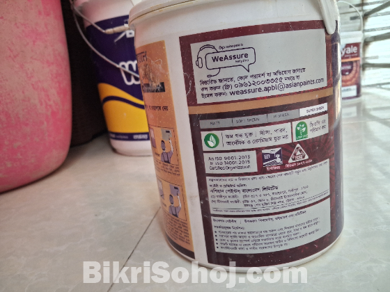 Asian Royale Shyne Paint